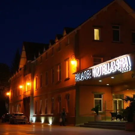 Palace & - Termas De Sao Vicente فندق 4*