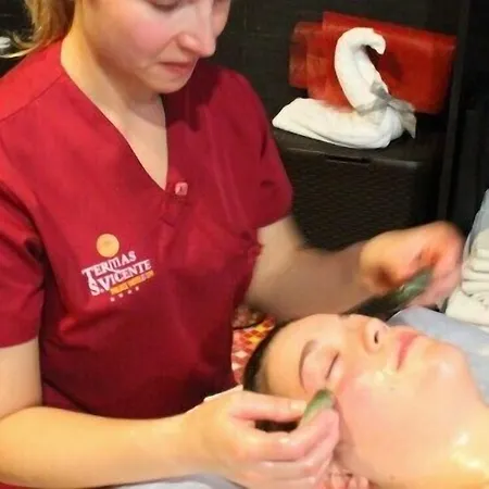 皇宫spa酒店 - 塔梅拉圣维森特 4* Rio de Moinhos (Aveiro)