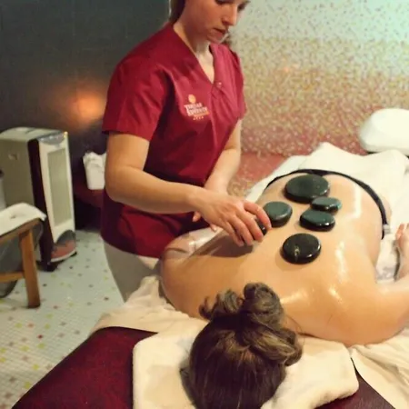 Hotel Palace & - Termas De Sao Vicente Rio de Moinhos (Aveiro)