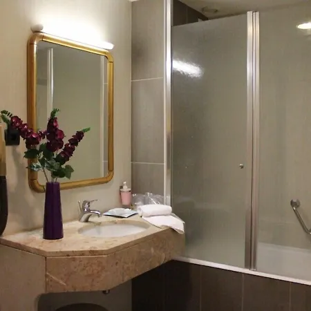 Palace & - Termas De Sao Vicente 4*