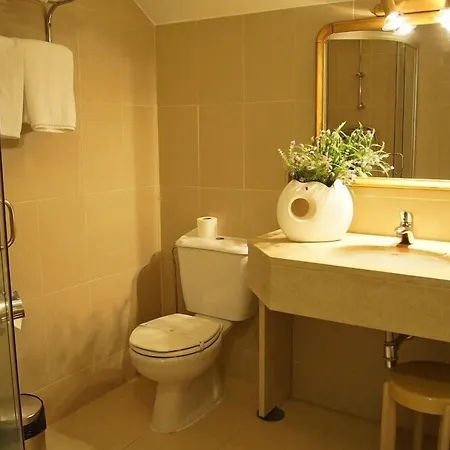 Palace & - Termas De Sao Vicente 4* Rio de Moinhos (Aveiro)