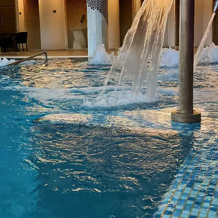 Palace & - Termas De Sao Vicente Hotel