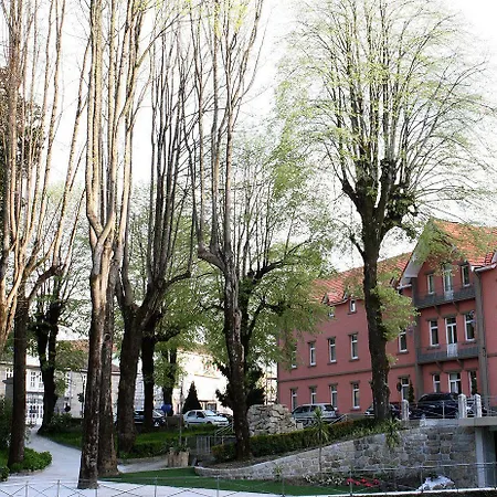 Palace & - Termas De Sao Vicente Hotel Penafiel