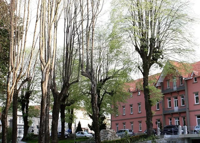 Palace & - Termas De Sao Vicente 4* Rio de Moinhos (Aveiro)