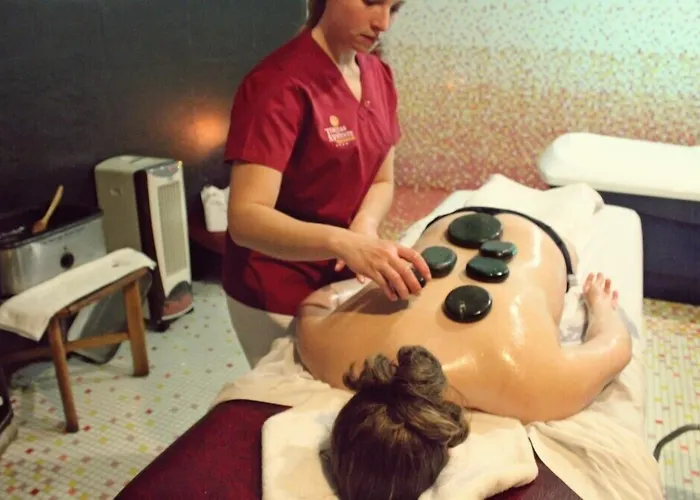 Hotel Palace & - Termas De Sao Vicente Rio de Moinhos (Aveiro)