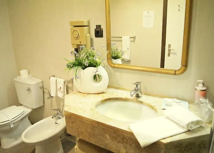 Palace & - Termas De Sao Vicente 4*