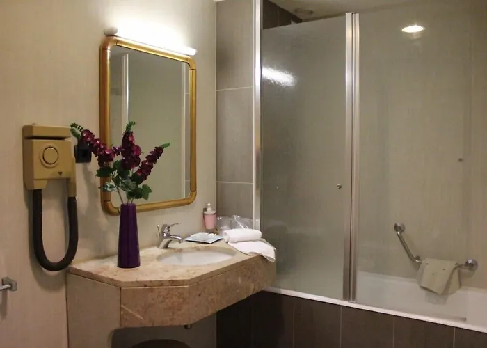 Palace & - Termas De Sao Vicente 4*