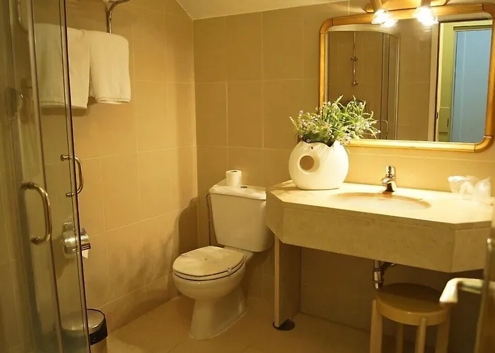 Palace & - Termas De Sao Vicente 4* Rio de Moinhos (Aveiro)